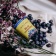 Biotic Cocoguard Blueberry Bergamot BIO